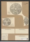 Actinoptychus stella var. thumii A. Schm. (de-Toni-Nr.: Genus 227, Species 5615) Zeichnungen Sammlung Grunow Nr. 9509 (NHMW-BOT-W0379495)